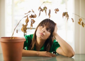 ��� ���������� �� ������ ������ � ������