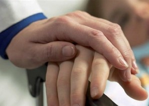 ������ ������ �� ������ �����������